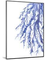 Blue Coral 3-Emma Jones-Mounted Giclee Print
