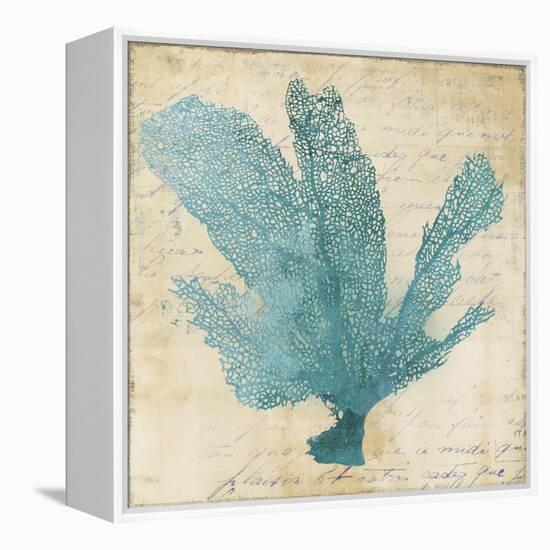 Blue Coral I-Anna Polanski-Framed Stretched Canvas