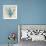 Blue Coral I-Anna Polanski-Framed Premium Giclee Print displayed on a wall