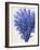 Blue Corals 2 a-Fab Funky-Framed Premium Giclee Print