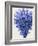 Blue Corals 2 a-Fab Funky-Framed Art Print