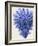 Blue Corals 2 a-Fab Funky-Framed Art Print