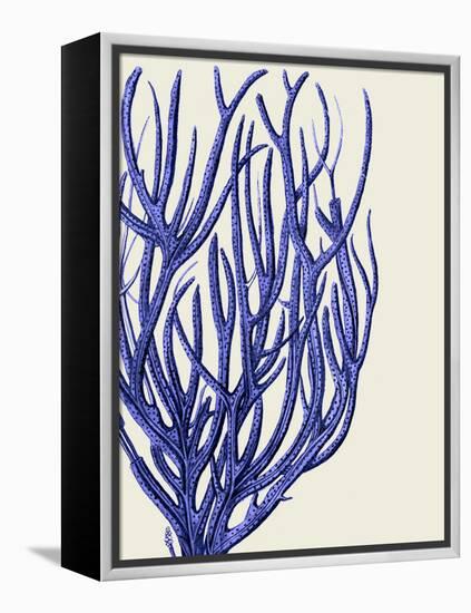 Blue Corals 2 c-Fab Funky-Framed Stretched Canvas