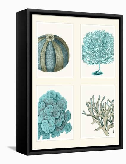 Blue Corals and Sea Urchins in 4 Panels-Fab Funky-Framed Stretched Canvas