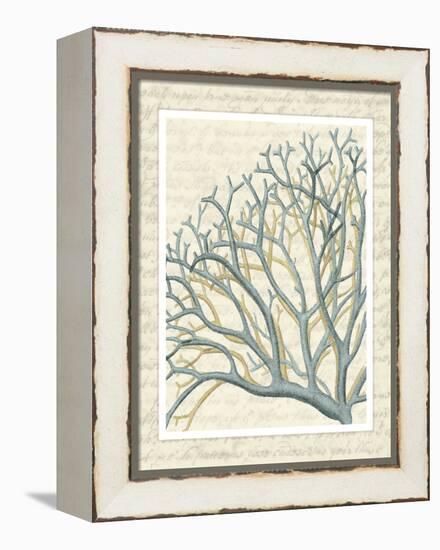 Blue Corals On VIntage Script b-Fab Funky-Framed Stretched Canvas