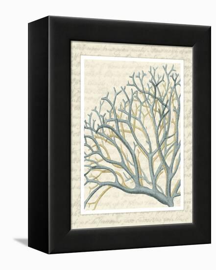 Blue Corals On VIntage Script b-Fab Funky-Framed Stretched Canvas