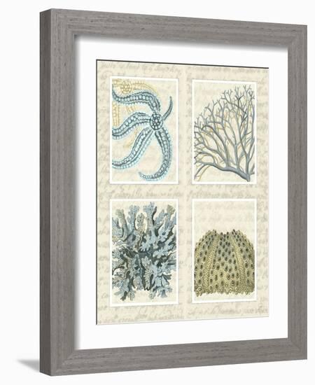 Blue Corals On Vintage Script in 4 Panels-Fab Funky-Framed Art Print