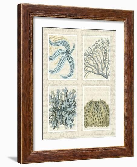 Blue Corals On Vintage Script in 4 Panels-Fab Funky-Framed Art Print