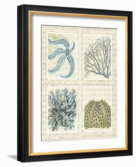 Blue Corals On Vintage Script in 4 Panels-Fab Funky-Framed Art Print