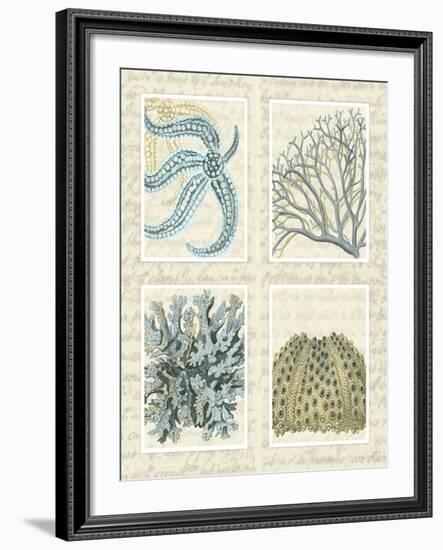 Blue Corals On Vintage Script in 4 Panels-Fab Funky-Framed Art Print