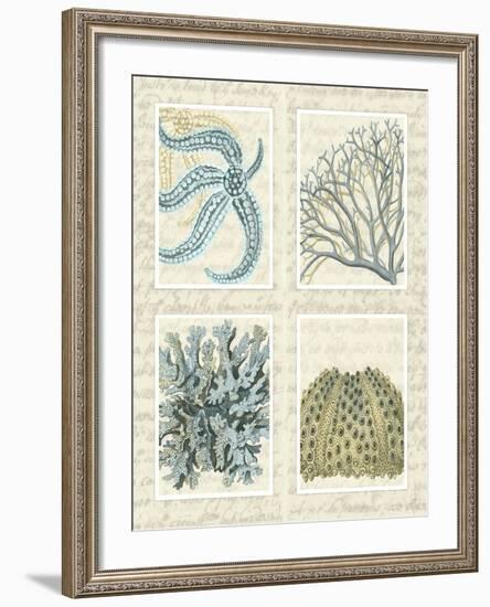 Blue Corals On Vintage Script in 4 Panels-Fab Funky-Framed Art Print