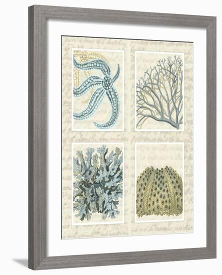 Blue Corals On Vintage Script in 4 Panels-Fab Funky-Framed Art Print