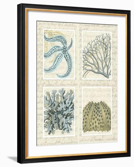 Blue Corals On Vintage Script in 4 Panels-Fab Funky-Framed Art Print