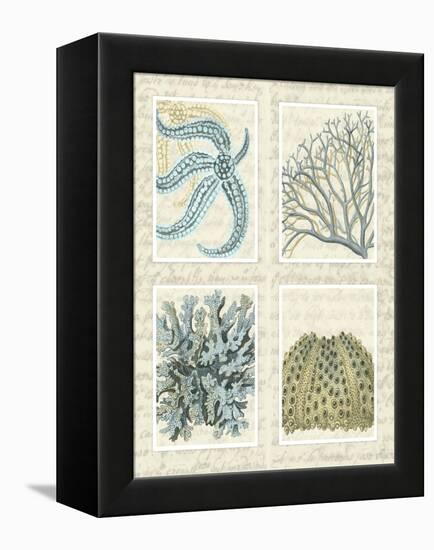 Blue Corals On Vintage Script in 4 Panels-Fab Funky-Framed Stretched Canvas