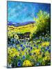 blue corn flowers in ver village ardennes-Pol Ledent-Mounted Art Print