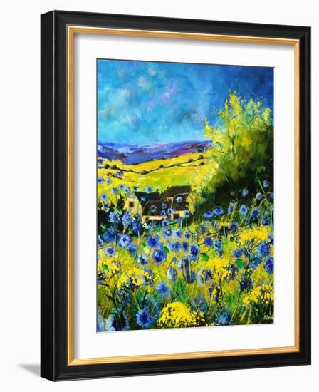 blue corn flowers in ver village ardennes-Pol Ledent-Framed Art Print