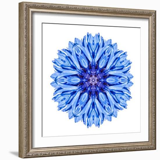 Blue Cornflower Mandala Flower Kaleidoscope-tr3gi-Framed Art Print