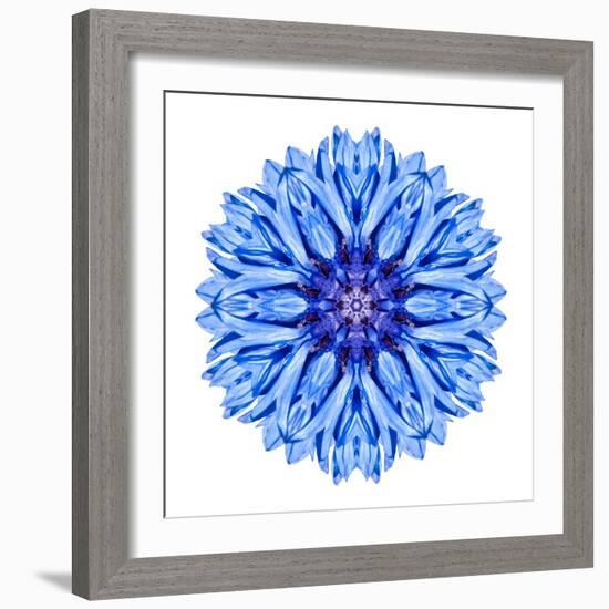 Blue Cornflower Mandala Flower Kaleidoscope-tr3gi-Framed Art Print