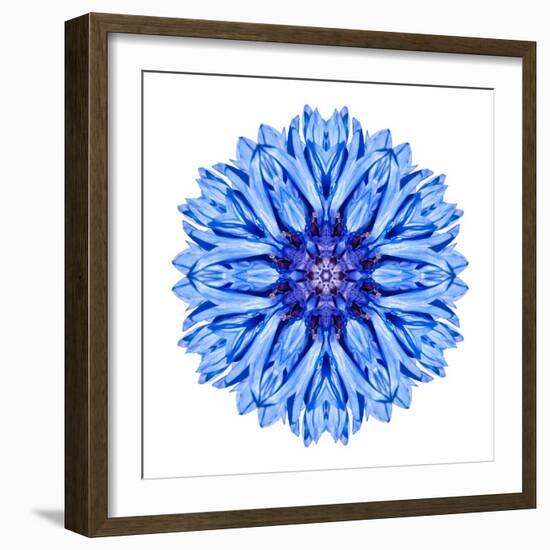 Blue Cornflower Mandala Flower Kaleidoscope-tr3gi-Framed Art Print