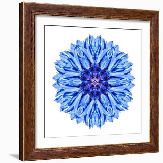 Blue Cornflower Mandala Flower Kaleidoscope-tr3gi-Framed Art Print