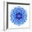 Blue Cornflower Mandala Flower Kaleidoscope-tr3gi-Framed Art Print