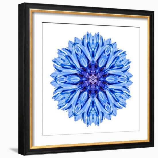 Blue Cornflower Mandala Flower Kaleidoscope-tr3gi-Framed Art Print