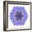 Blue Cornflower Mandala Flower Kaleidoscope-tr3gi-Framed Art Print