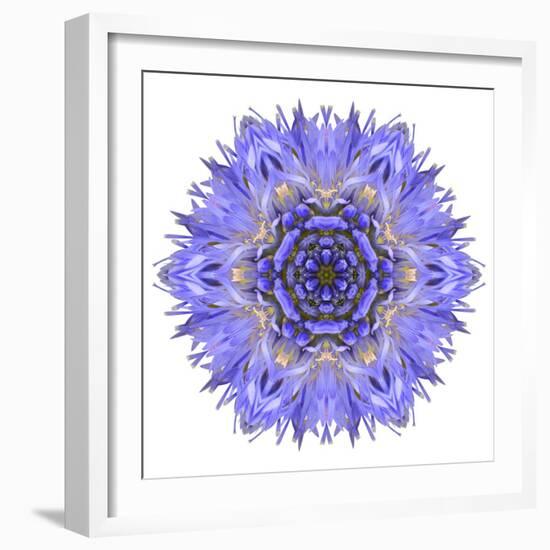 Blue Cornflower Mandala Flower Kaleidoscope-tr3gi-Framed Art Print