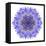Blue Cornflower Mandala Flower Kaleidoscope-tr3gi-Framed Stretched Canvas