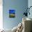 Blue Cornflowers 4550-Pol Ledent-Premium Giclee Print displayed on a wall