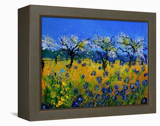 Blue Cornflowers 545130-Pol Ledent-Framed Stretched Canvas