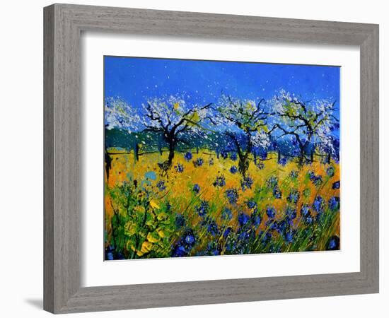 Blue Cornflowers 545130-Pol Ledent-Framed Art Print