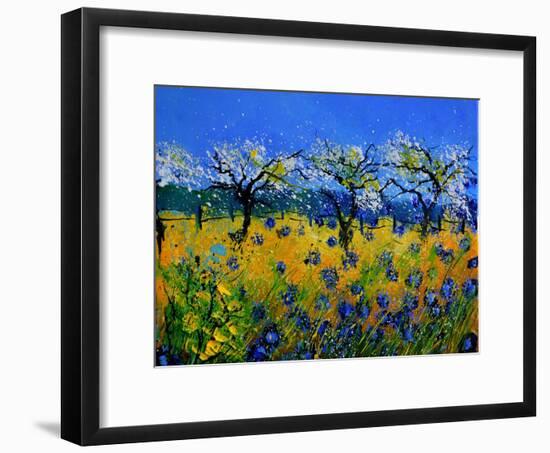 Blue Cornflowers 545130-Pol Ledent-Framed Art Print