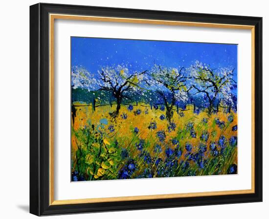 Blue Cornflowers 545130-Pol Ledent-Framed Art Print