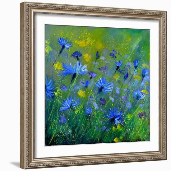 Blue Cornflowers 555160-Pol Ledent-Framed Art Print