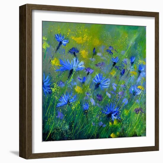 Blue Cornflowers 555160-Pol Ledent-Framed Art Print