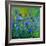 Blue Cornflowers 555160-Pol Ledent-Framed Art Print