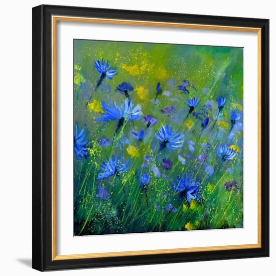 Blue Cornflowers 555160-Pol Ledent-Framed Art Print
