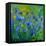 Blue Cornflowers 555160-Pol Ledent-Framed Stretched Canvas