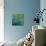 Blue Cornflowers 555160-Pol Ledent-Premium Giclee Print displayed on a wall