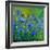 Blue Cornflowers 555160-Pol Ledent-Framed Premium Giclee Print