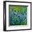 Blue Cornflowers 555160-Pol Ledent-Framed Art Print