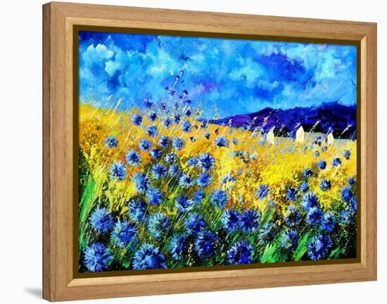 Blue cornflowers 68-Pol Ledent-Framed Stretched Canvas