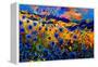 Blue Cornflowers 756-Pol Ledent-Framed Stretched Canvas