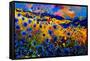 Blue Cornflowers 756-Pol Ledent-Framed Stretched Canvas