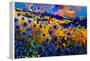 Blue Cornflowers 756-Pol Ledent-Framed Stretched Canvas