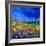 Blue Cornflowers 7741-Pol Ledent-Framed Art Print