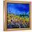 Blue Cornflowers 7741-Pol Ledent-Framed Stretched Canvas