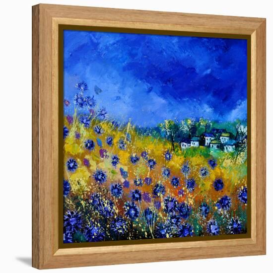 Blue Cornflowers 7741-Pol Ledent-Framed Stretched Canvas