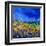 Blue Cornflowers 7741-Pol Ledent-Framed Art Print